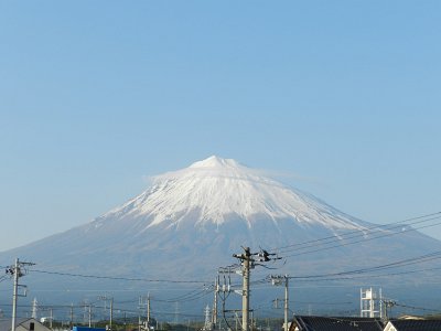 �P�V���Q�S���B�e