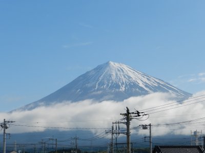 �V���Q�W���B�e