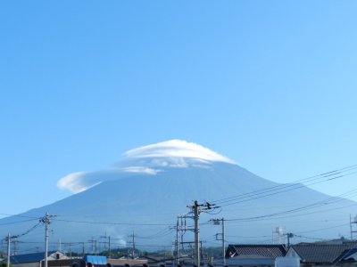�V���R�O���B�e