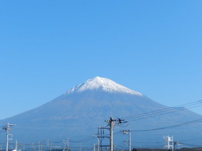 �X���T���B�e