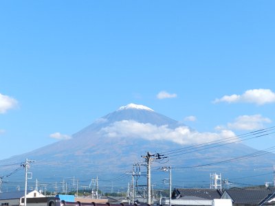 �X���R�X���B�e