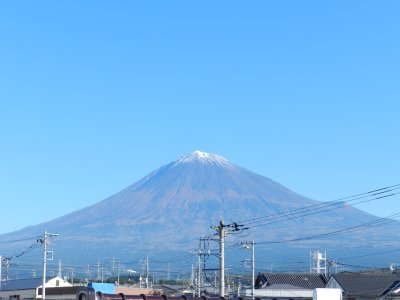 �X���P�Q���B�e