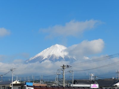 �P�O���P�U���B�e
