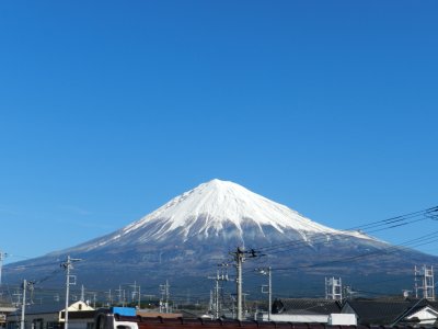 �P�O���R�S���B�e