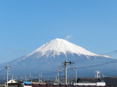 �P�O���V���B�e