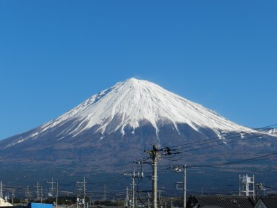 �P�O���U���B�e