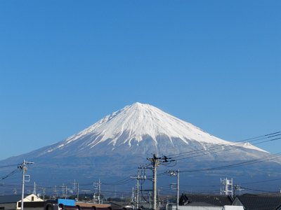 �P�O���W���B�e