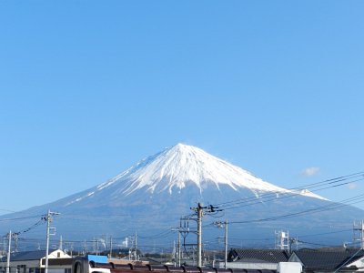 �X���Q�S���B�e