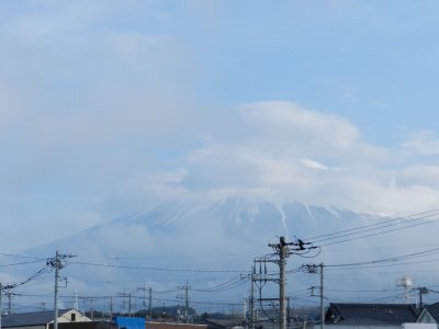 �W���T�V���B�e