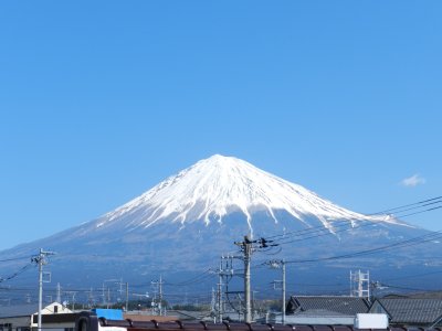 �P�O���T�S���B�e