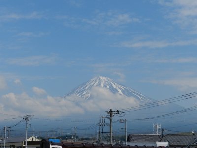 �P�P���U���B�e
