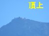 �W���T�P���B�e