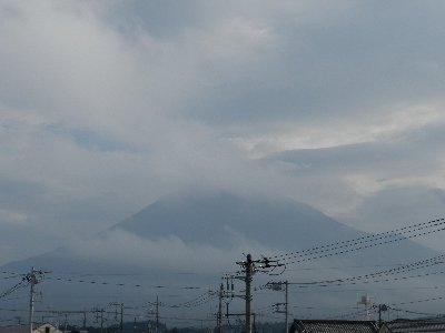 �W���Q���B�e