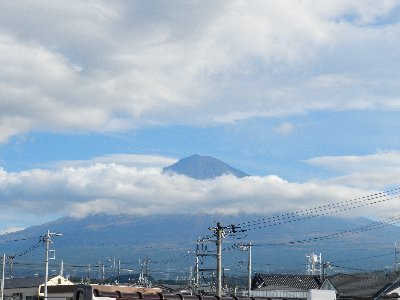 �W���R�T���B�e