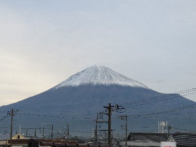 �V���P���B�e