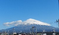 �P�O���T���B�e