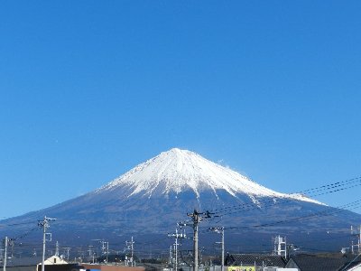 �P�O���R�V���B�e