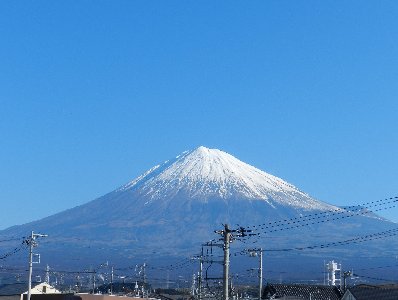 �X���X���B�e