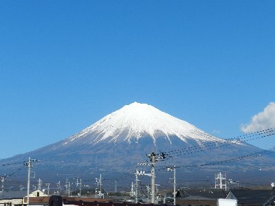 �P�R���T�O���B�e