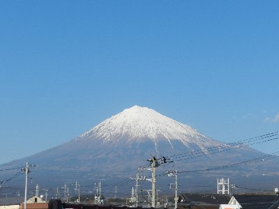 �P�T���R�O���B�e