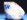 �p�p�S���萅���E�A�z�[�A�C�g���萅��