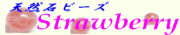 �V�R�΃r�[�Y �X�g���x���[�N�I�[�c ������