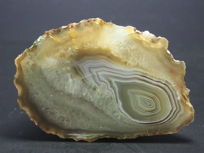 ����(�A�Q�[�g) ���V�A/�E�����Y62g (RU684)