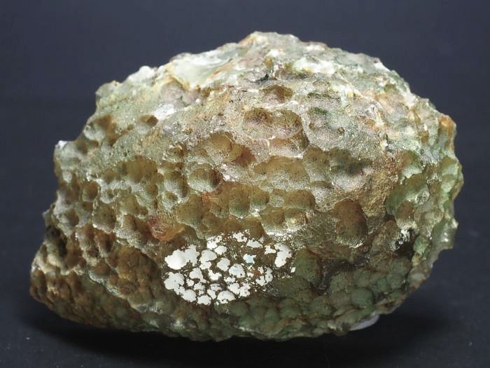 ����(�A�Q�[�g) ���V�A/�E�����Y62g (RU684)