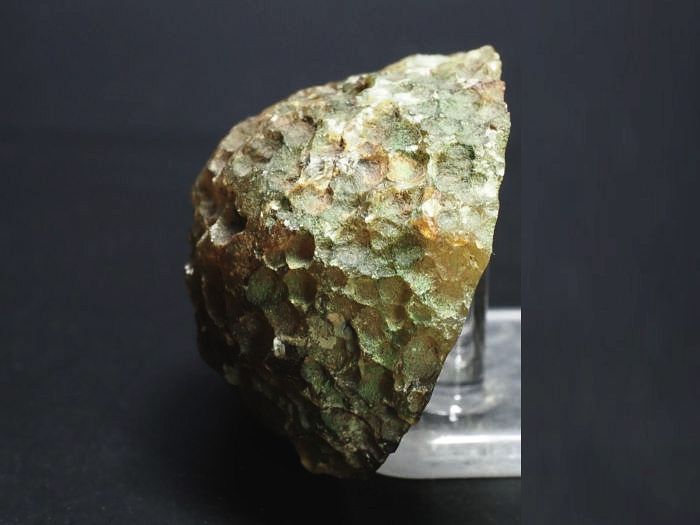 ����(�A�Q�[�g) ���V�A/�E�����Y62g (RU684)