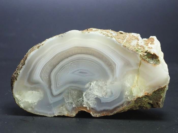 ����(�A�Q�[�g) ���V�A/�E�����Y99g (RU686)