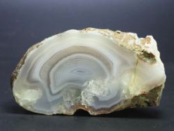 ����(�A�Q�[�g)<br> ���V�A/�E�����Y<br>99g (RU686)