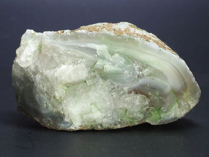 ����(�A�Q�[�g) ���V�A/�E�����Y99g (RU686)