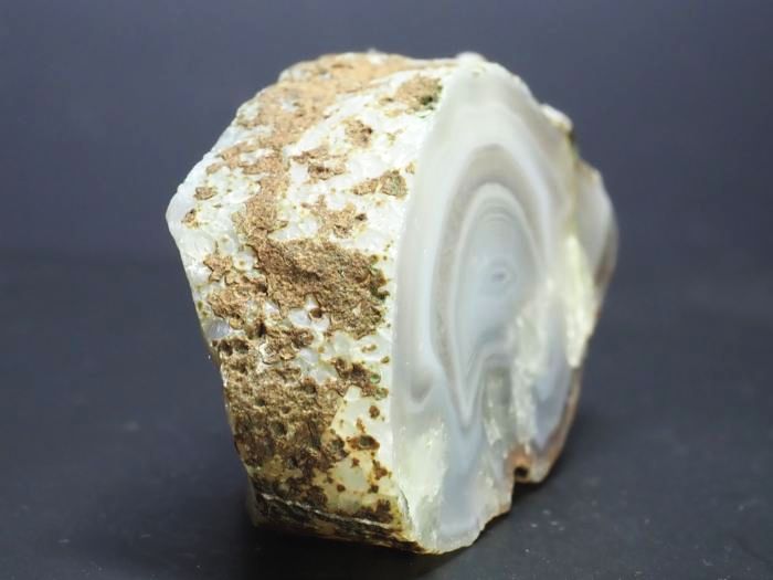 ����(�A�Q�[�g) ���V�A/�E�����Y99g (RU686)