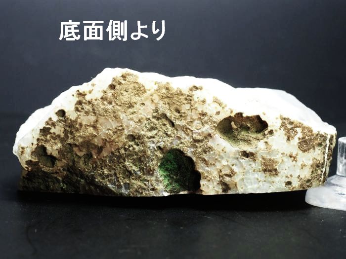 ����(�A�Q�[�g) ���V�A/�E�����Y99g (RU686)