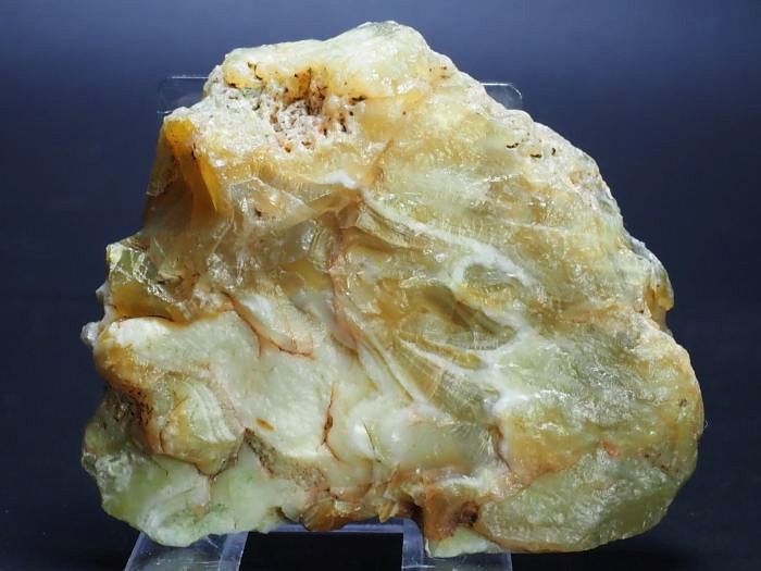 ����(�A�Q�[�g) ���V�A/�E�����Y66g (RU687)