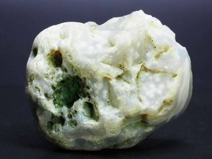 ����(�A�Q�[�g) ���V�A/�E�����Y91g (RU688)