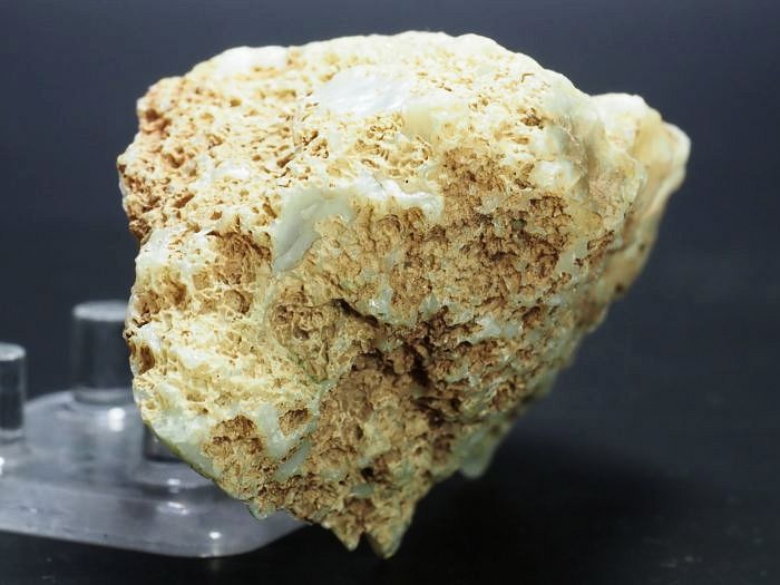 ����(�A�Q�[�g) ���V�A/�E�����Y115g (RU689)