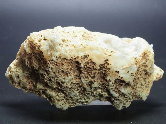 ����(�A�Q�[�g) ���V�A/�E�����Y115g (RU689)