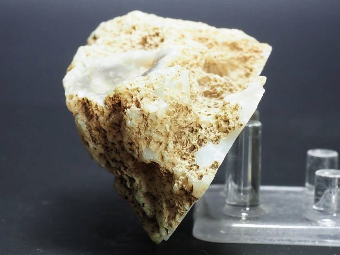 ����(�A�Q�[�g) ���V�A/�E�����Y115g (RU689)