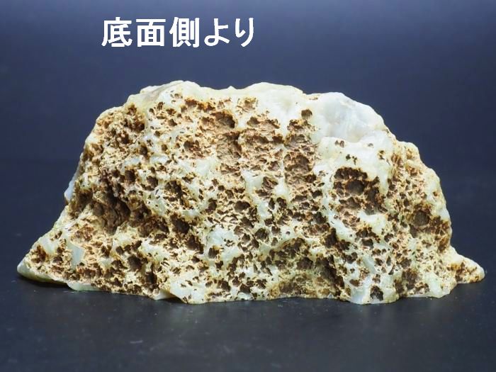 ����(�A�Q�[�g) ���V�A/�E�����Y115g (RU689)