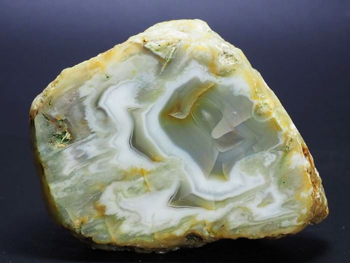 ����(�A�Q�[�g) ���V�A/�E�����Y115g (RU690)