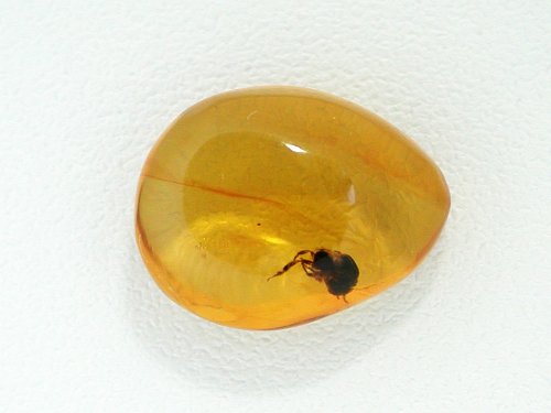 ߃Ao[ h~jJY 3.5ct (2)