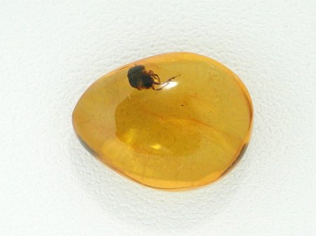 ߃Ao[ h~jJY 3.5ct (2)