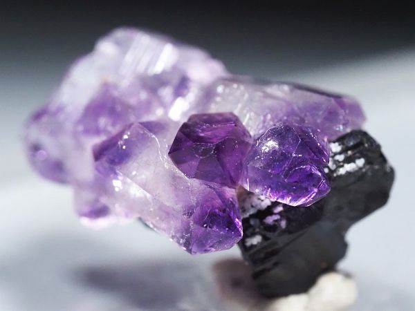 AWXgonubNg} uWY 18mm (95)