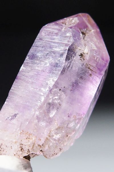 xNXAWXg 23.9g 48mm (20)