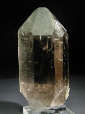 �X�C�X �A���v�X�����X���[�L�[�N�I�[�c