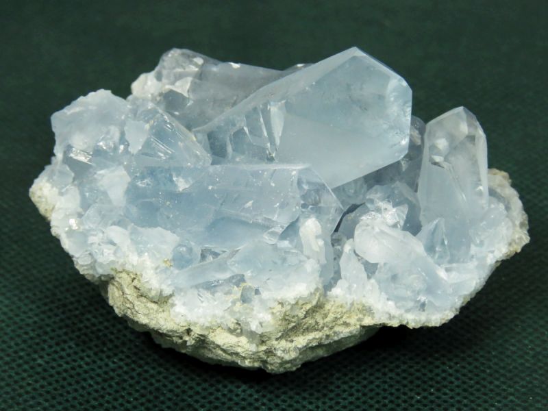 ZX^CgV 227g (25)