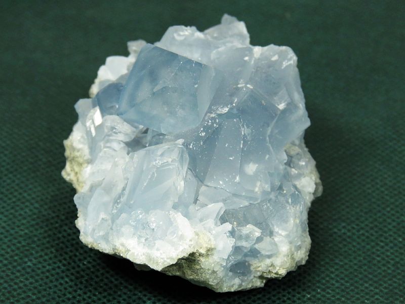 ZX^CgV 227g (25)