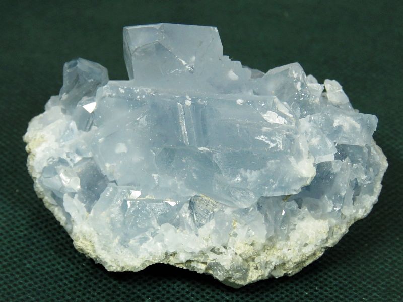 ZX^CgV 227g (25)
