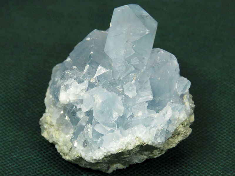 ZX^CgV 227g (25)